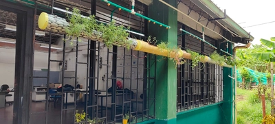 Jardín colgante biotecnológico, la novedad en la feria de la ciencia y el arte de la Institución Santo Tomás