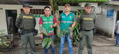 Dagma implementa control especial a la extracción ilegal de recursos naturales