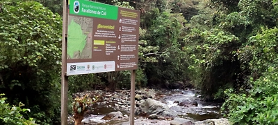La Alcaldía de Santiago de Cali y la Gobernación del Valle del Cauca desarrollan acciones conjuntas para atacar delitos ambientales en los Farallones