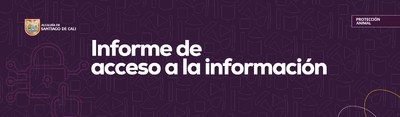 Informe de acceso a la información