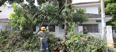 Poda de árboles en el sur y restablecimiento del servicio de acueducto en Los Alcázares y Siloé, en agenda de Emcali para el miércoles
