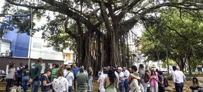 Dagma socializó con la comunidad el proceso de intervención de un árbol de caucho en el Parque del Perro