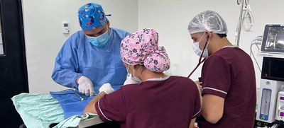 “En el CBA la atención es constante y realizamos cerca de siete cirugías al día”: médico del Centro de Bienestar Animal