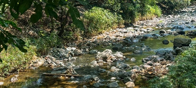 Caleños: es el momento de ahorrar agua y hacer uso responsable y  consciente del vital líquido