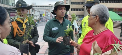 Cali es ejemplo en campaña nacional de protección de la palma de cera