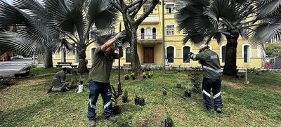 Embelleciendo a Cali: Dagma empezó la siembra de 100 plantas en el Parque El Peñón