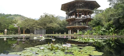 Alcaldía de Cali y el Instituto Humboldt unirán esfuerzos para potencializar a Cali como capital de la biodiversidad