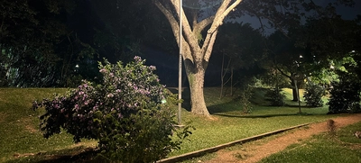 Proceso de instalación de luminarias led en el parque El Ingenio completa 30% de avance en menos de 15 días