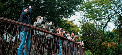 Aficionados a las aves disfrutaron durante el ‘Global Big Day’ la  biodiversidad que ofrece el corredor del río Cali