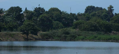 Cali, ‘Capital Pacífica de Colombia’, celebrará el ‘Día del Medio Ambiente’ con programación especial en el humedal Charco Azul