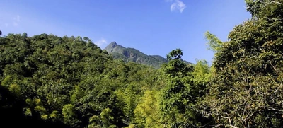En Cali, la COP 16 generaría un impacto  a la economía por más de $100 mil millones