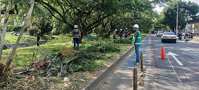 Brindar seguridad y mitigar el riesgo de inundaciones: objetivos de las intervenciones arbóreas que el Dagma realiza en El Caney