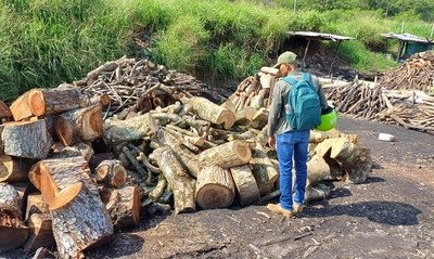 710 emergencias han sido atendidas por el Grupo Ambiental de Reacción Inmediata del Dagma