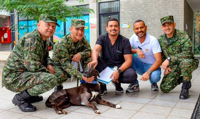 ‘Negrita’, la perrita atropellada que fue salvada por soldados del Ejército  y profesionales del Centro de Bienestar Animal de Cali