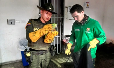 Dagma y Policía Ambiental despliegan controles al tráfico de fauna: el más reciente operativo se realizó en la Terminal de Transportes