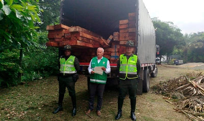 Continúan las acciones del Dagma y la Policía Ambiental contra el tráfico ilegal de flora silvestre