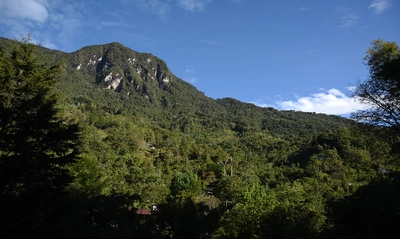 Se alista el Primer Foro Nacional de Turismo de Naturaleza Regenerativo, en preparación para la COP16