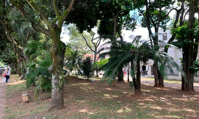 Cali ya cuenta con más de 207 mil metros cuadrados de zonas verdes adoptadas: se destaca el compromiso de 30 empresas caleñas