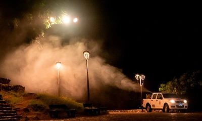 Siguen bajando los casos de dengue, pero el llamado es a no bajar la guardia