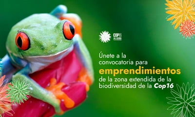 Convocatoria para emprendedores en la COP16: ¡Únete a la Feria de Emprendimiento y Mercados Campesinos de la zona extendida de la biodiversidad!