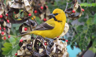 Cali, sede oficial del I Foro de Turismo de Naturaleza Regenerativo