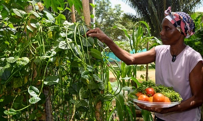 Nuestros comedores comunitarios son territorios de inclusión social y amor por el medio ambiente