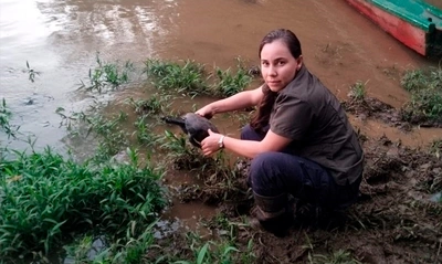Animales recuperados en Cali retornaron, de vuelta, a sus hábitats en el Caquetá