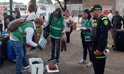 Operativos previos al ‘Petronio Álvarez’: Dagma y Policía Ambiental intensifican labores contra el tráfico de flora y fauna silvestre