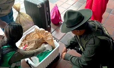 En operativo contra la comercialización y tráfico de fauna y flora silvestre, Dagma y Policía Ambiental incautan carne de armadillo