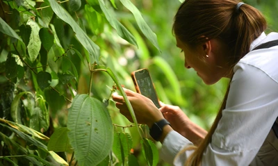 Secretaría de Turismo lanza Incubadora de Proyectos Turísticos - Capítulo de Naturaleza: conoce los términos para participar