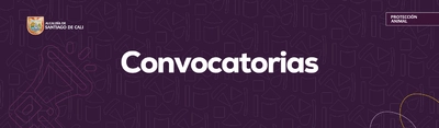 Convocatorias