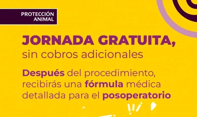 Del 27 al 31 de agosto, participa en las jornadas de esterilización de mascotas 