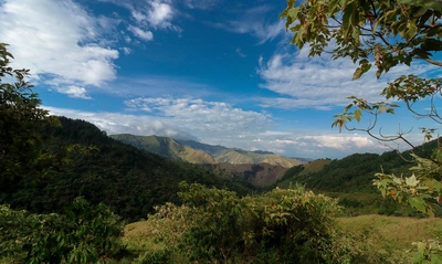La Secretaría de Cultura de Cali abre Concurso de Cuento Corto Ambiental para promover la biodiversidad en la escritura