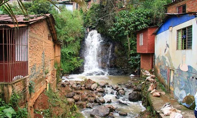 Cali es ejemplo global en sostenibilidad: proyecto de recuperación de hábitat en la Comuna 20 ganó un reconocimiento internacional