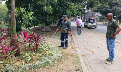 Con 30 nuevos jardines, avanza el plan de recuperación ambiental previo a la COP16