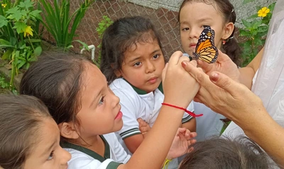 Un aula viva: la conservación de mariposas en la Normal Superior Farallones de Cali