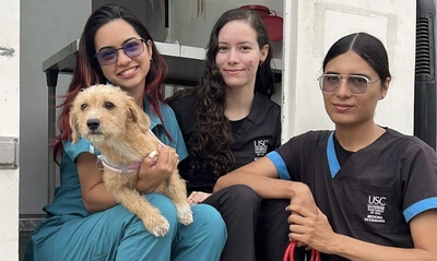 ¡Jornadas de Esterilización Gratuitas en Cali!