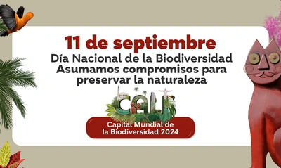 En el Día Nacional de la Biodiversidad, caleños aspiran a que la COP16 les deje un legado a las nuevas generaciones