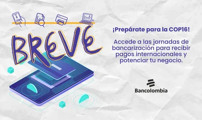 Prepárate para la COP16: participa de ‘Breve’ y aprende a recibir pagos internacionales