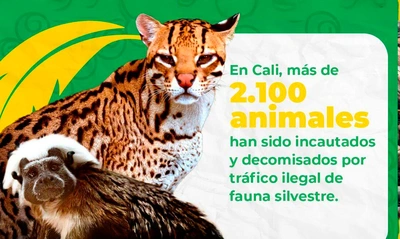 Rompe la cadena: di “no” al tráfico ilegal de flora y fauna