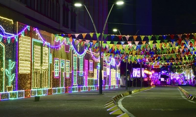 Elementos navideños de alumbrados pasados salen a enajenación, a título gratuito, por la Unidad Administrativa Especial de Gestión de Bienes y Servicios