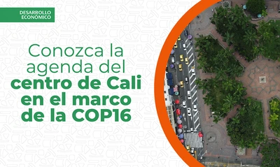 El centro de Cali se activa con una agenda de actividades en el marco de la COP16
