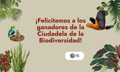 Conozca a los emprendedores seleccionados para la Ciudadela de la biodiversidad de la COP16