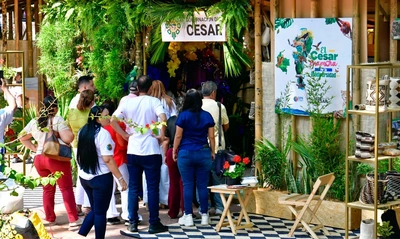 Alcaldía de Cali implementa prácticas de sostenibilidad con enfoque  ambiental en sus procesos de contratación