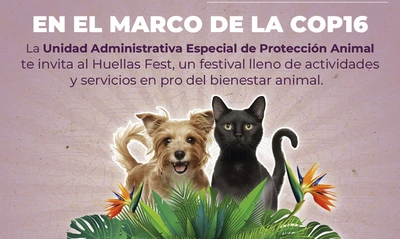 Huellas Fest: un encuentro por el bienestar animal en Cali