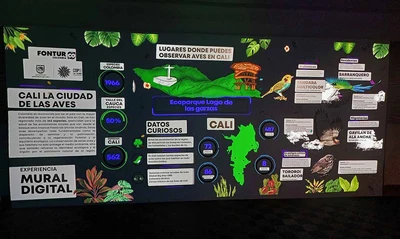 Cali tendrá su primer museo digital de la biodiversidad ‘Cali es donde debes estar’