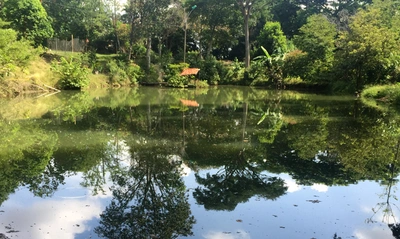 Agencia Nacional de Tierras expide resoluciones de deslinde relacionadas con los humedales de Cali