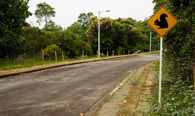 Conozca la guía esencial para urbanizadores en Cali: regulación y requisitos  de áreas de cesión en 2024