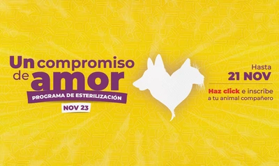 Gran jornada masiva de esterilización en Santiago de Cali: ¡Vamos por el récord nacional!
