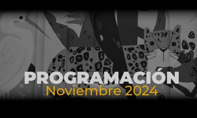 Conoce nuestra programación artística de noviembre 2024